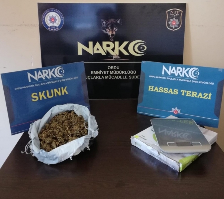 Ordu’da Uyuşturucu Operasyonuna 4 Tutuklama