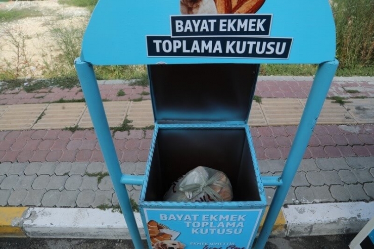 Belediyeden Sokak Hayvanları İçin Anlamlı Proje