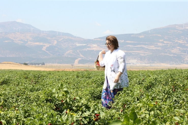 Uluslararası Gaziantep Gastronomi Festivali Başladı