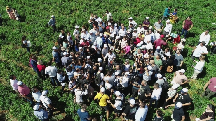 Uluslararası Gaziantep Gastronomi Festivali Başladı