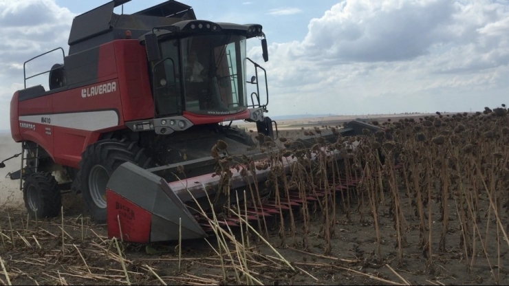 Keşan’da Ayçiçeği Hasadı Başladı