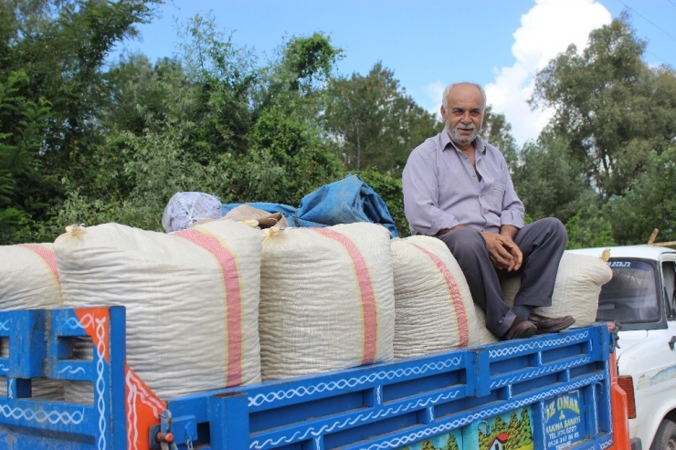Fiyattan Memnun Olan Üretici Tmo’ya Koştu