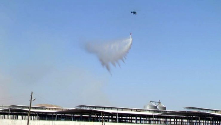 Dev Besi Çiftliğindeki Yangın 22 Saatte Kontrol Altına Alındı