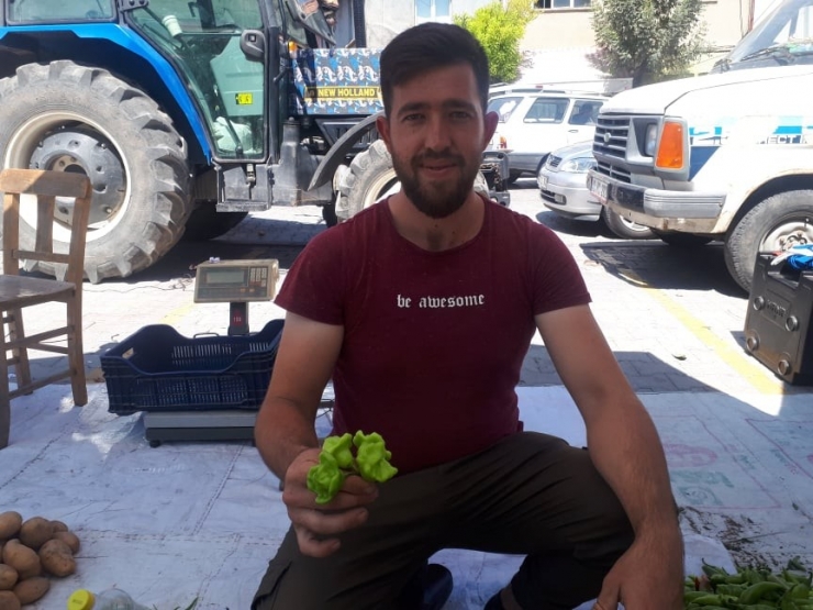 ’Gül Biberi’ Tezgâhların Gözdesi