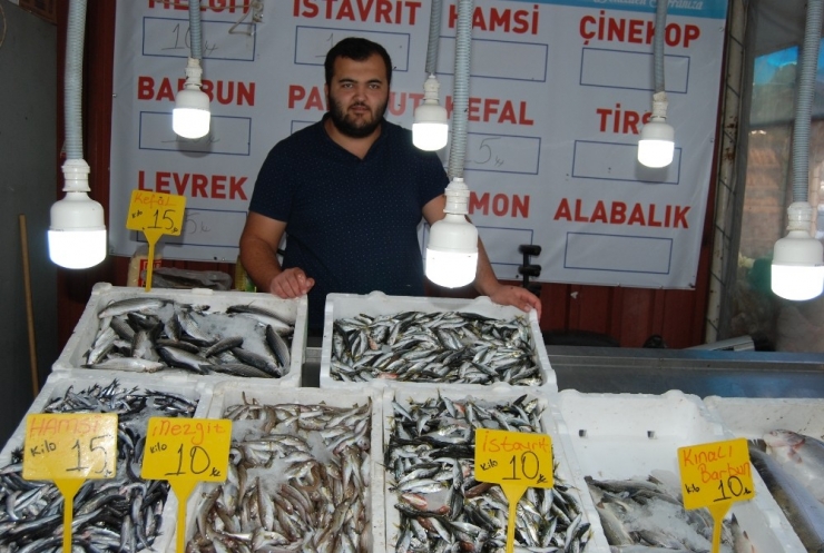 Hamsi Yüzünü Gösterdi