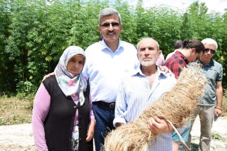 Vezirköprü, Tarım Fuarı’na ’Kenevir’ İle Damga Vuracak