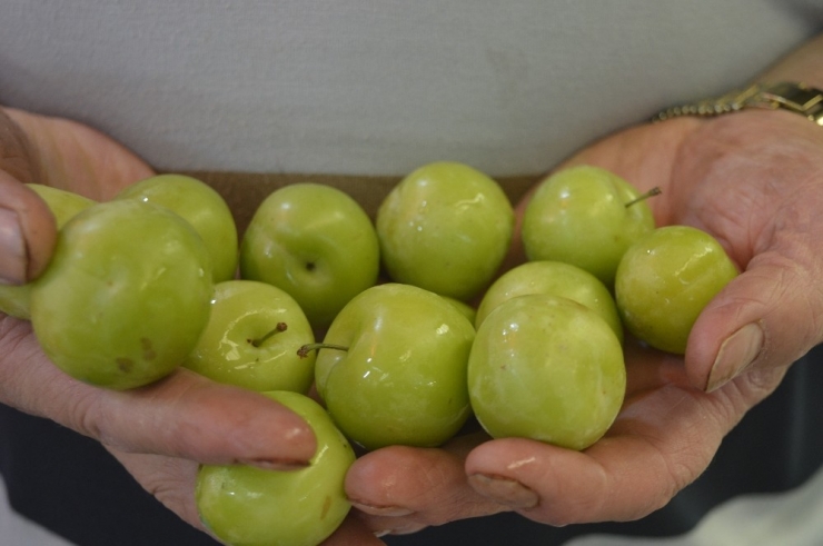 Sezonun Son Eriğinin Tanesi 1 Lira