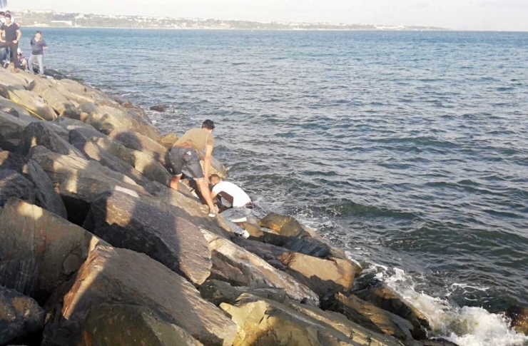 Avcılar’da Denize Düşen Genç Kayalıklara Sıkıştı