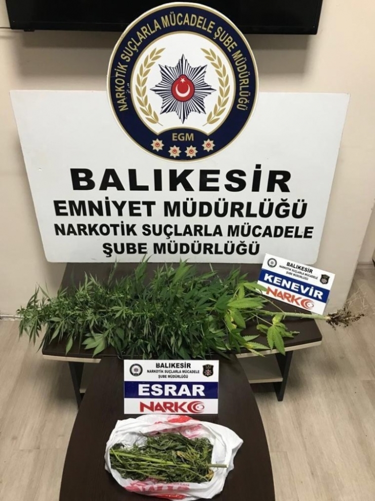 Balıkesir’de Uyuşturucu Satıcılarına Operasyon