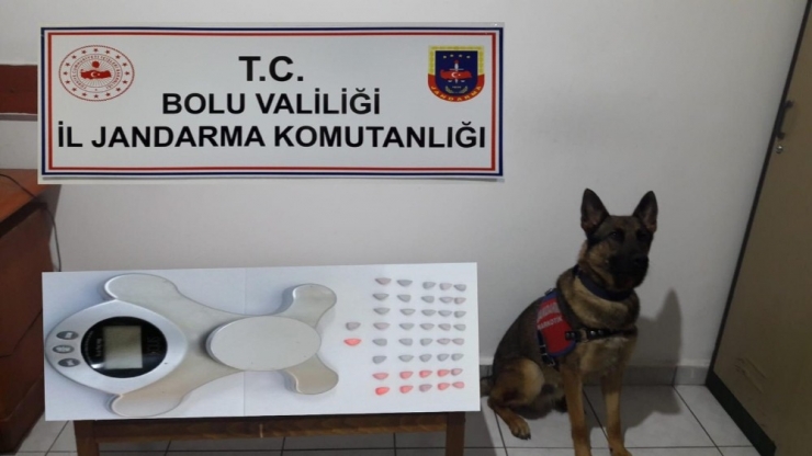Bolu’da Uyuşturucu Operasyonu: 1 Tutuklu