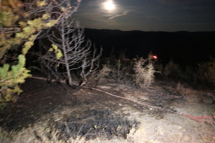 Bolu’da, Örtü Yangınında 5 Hektarlık Alan Zarar Gördü