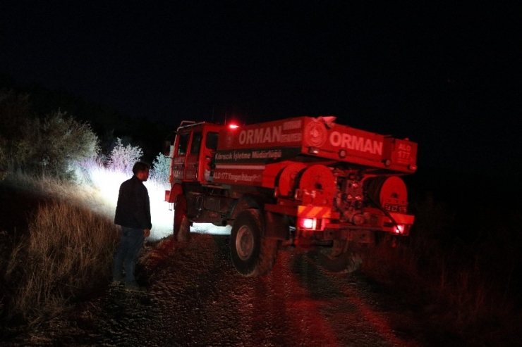 Bolu’da, Örtü Yangınında 5 Hektarlık Alan Zarar Gördü