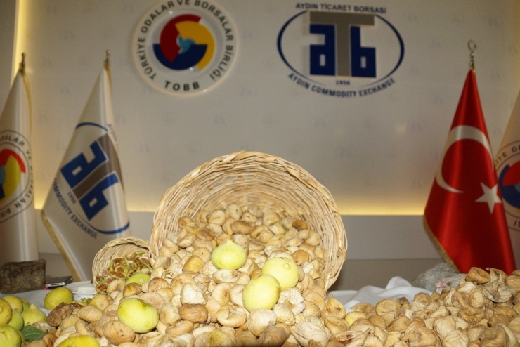 Elde Kalan Kuru İncir İçin Tmo’nun Alım Yapması Bekleniyor