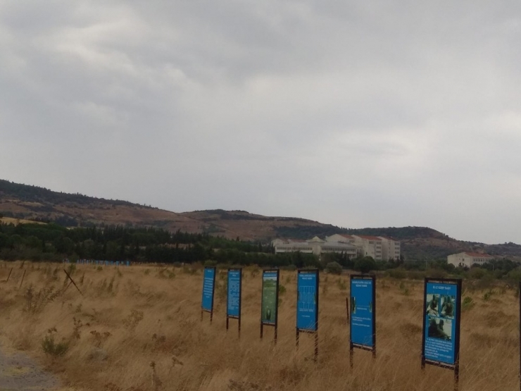 Askeri Birlik Arazisine Yıldırım Düştü: 7 Asker Yaralandı