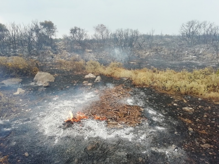 Yıldırım Çeşme’de Yangına Yol Açtı