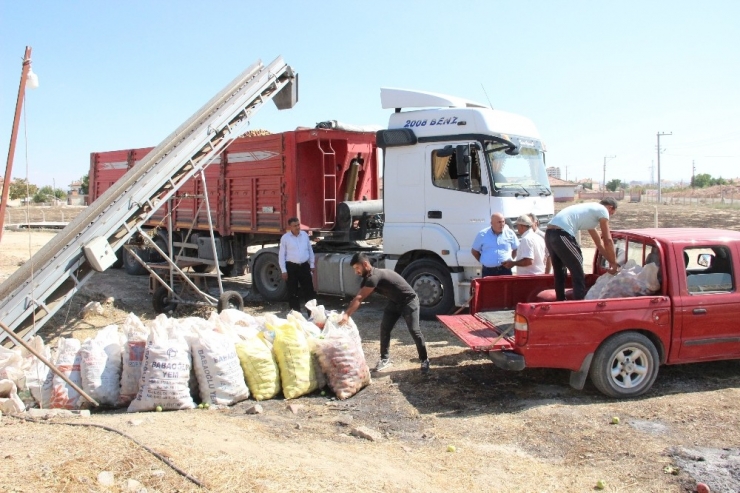 Karaman’da Iskarta Elma Alım Fiyatları Yüz Güldürüyor