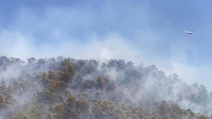 Marmaris’te Bu Yıl 35 Hektar Ormanlık Alan Yandı
