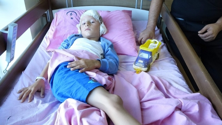 4. Kattan Düşen Sıva Parçası Az Daha Öldürüyordu