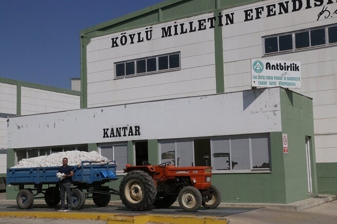 Beyaz Altında İlk Hasat Yapıldı