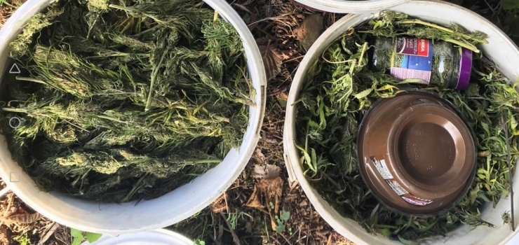 Turşu Bidonları İçinde Kubar Esrar Ele Geçti