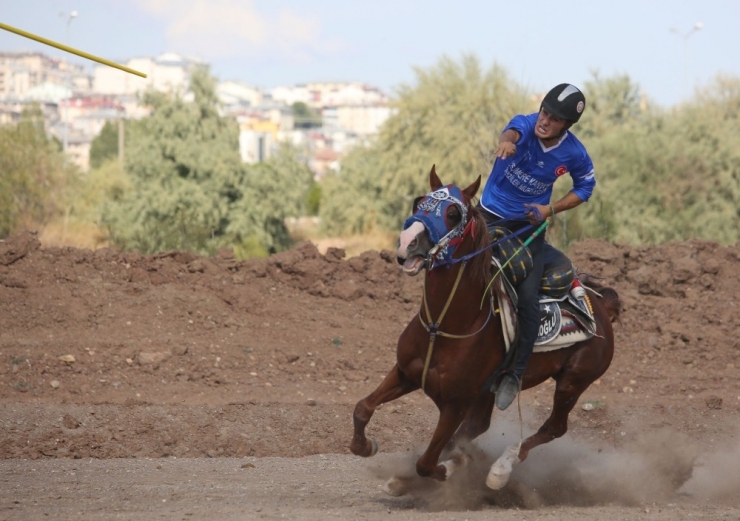 Sivas’taki Atlı Cirit Müsabakaları Nefes Kesti