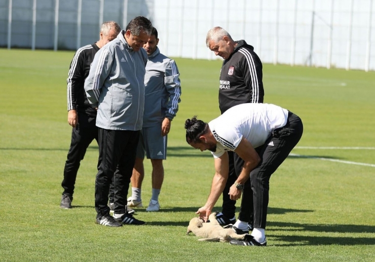 Sivasspor İdmanına Davetsiz Misafir