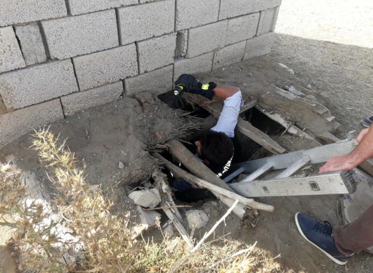 Kuyuda Mahsur Kalan Yavru Köpekler Kurtarıldı