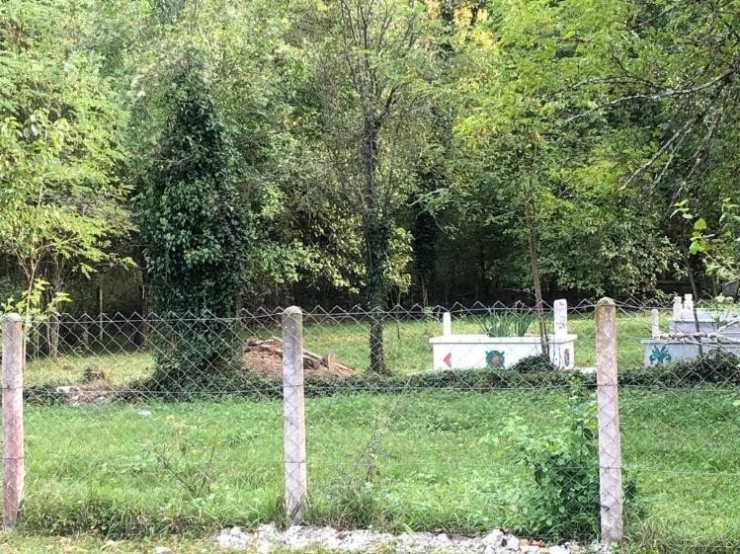 Mezarlıktaki Fotokapana Çakal Ve Yavruları Takıldı