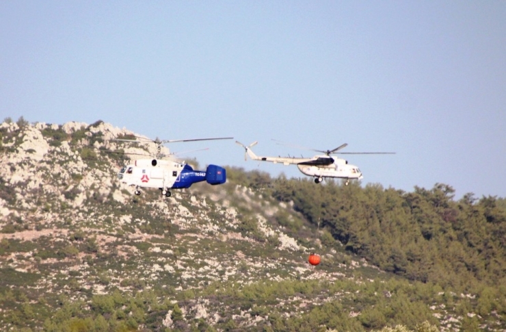 Bodrum’daki Orman Yangını Güçlükle Kontrol Altına Aldı