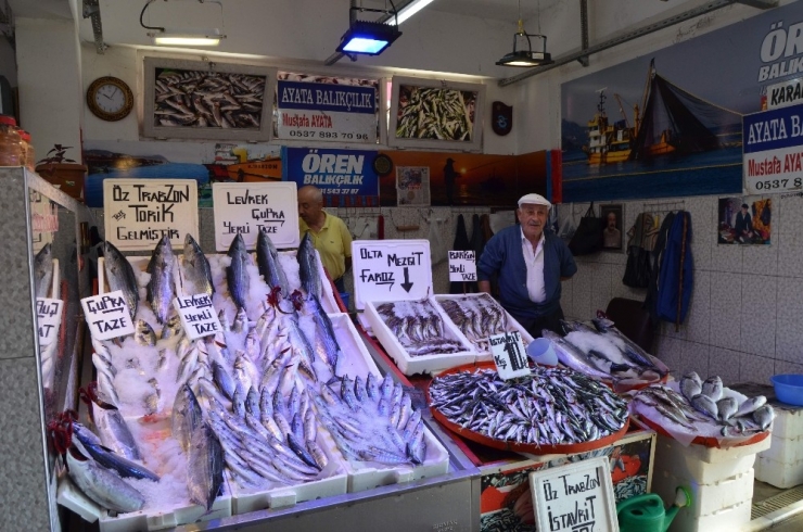 Trabzon Açıklarında Avlanan Torikler Tezgâhları Süslemeye Başladı