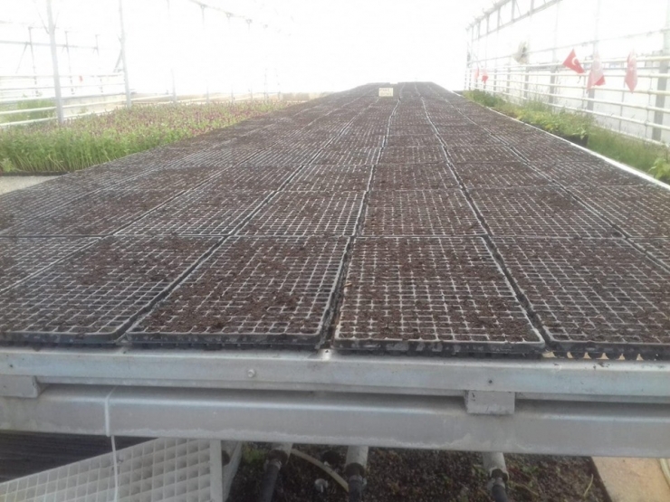 Yeni Belediye Hizmet Binasının Peyzajı Yapılıyor