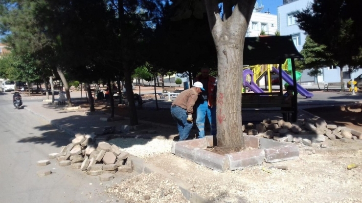 Yeni Belediye Hizmet Binasının Peyzajı Yapılıyor