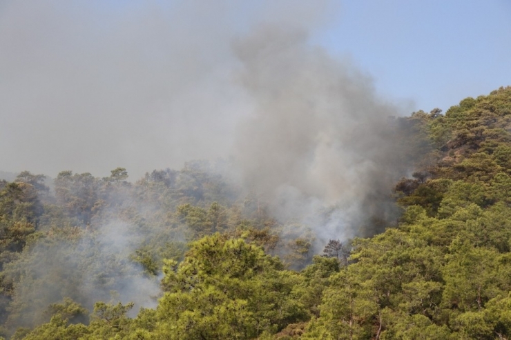 Muğla’daki Yangına 10 Helikopterle Müdahale Sürüyor