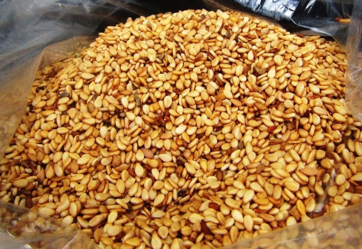 Japonlar ‘Suşi’ Susamı İçin Muğla’da