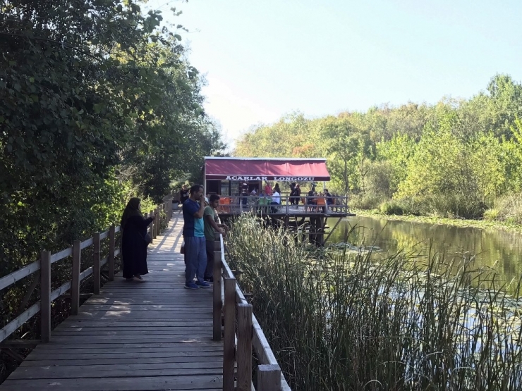 Acarlar Longozu’na Hafta Sonunda Yoğun İlgi