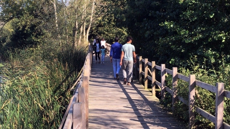 Acarlar Longozu’na Hafta Sonunda Yoğun İlgi