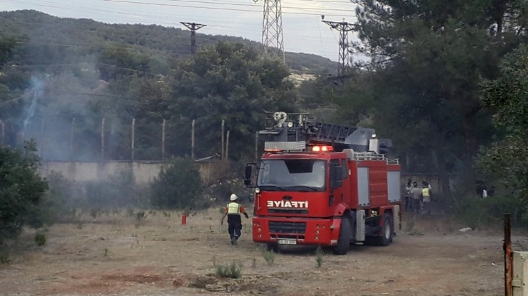 Kopan Elektrik Nakil Kabloları Yangına Neden Oldu