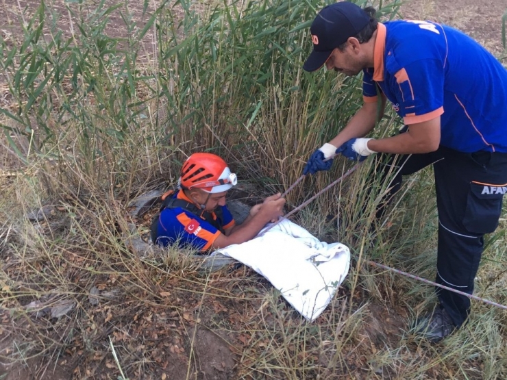 Rögar Kuyusuna Düşen Koyunu Afad Kurtardı