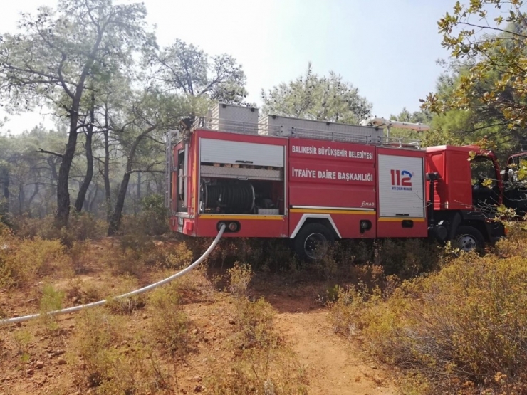 Ayvalık’ta Orman Yangını