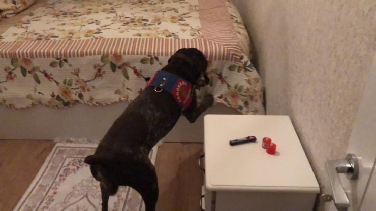 Bursa’da ’Roket’ten Kaçamadılar