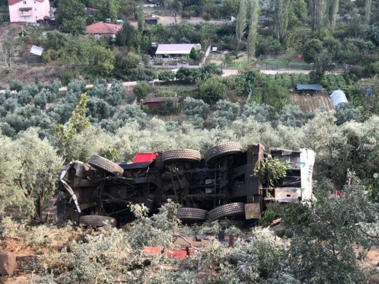 100 Tonluk Vinç Zeytinliğe Yuvarlandı