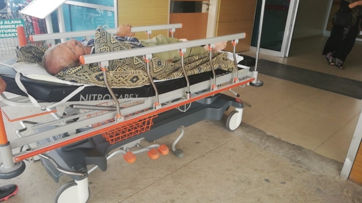 Ceviz Toplarken Ölümden Döndü