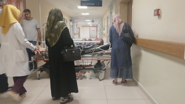 Ceviz Toplarken Ölümden Döndü