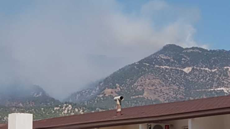 Aydın’da 2.5 Hektar Ormanlık Alan Yandı