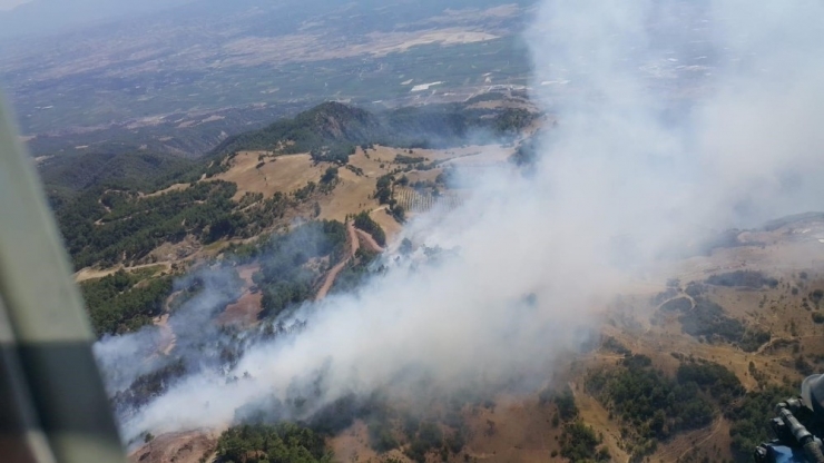 Denizli’de Kızılçam Ormanlarında Yangın