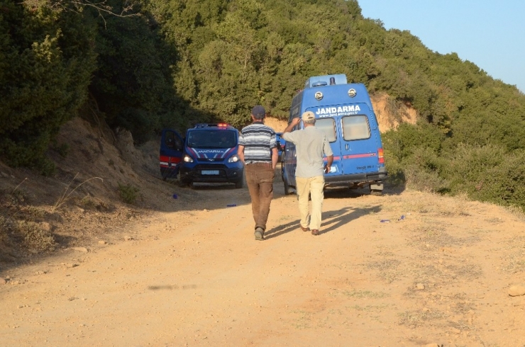 Kıyıya Vuran Cesedi Çoban Köpekleri Buldu