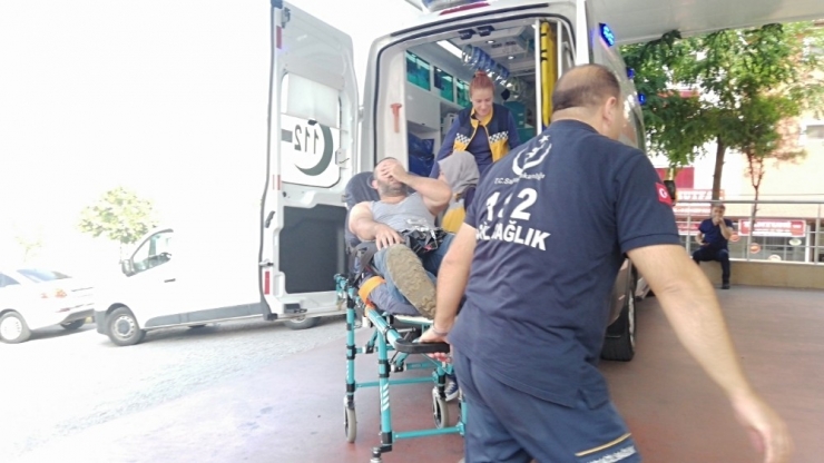 Ava Giden Vatandaşı Arılar Hastanelik Etti