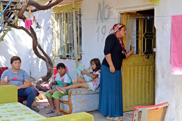 ’Evde Yılan Var’ Korkusuyla 45 Gündür Damda Uyuyorlar