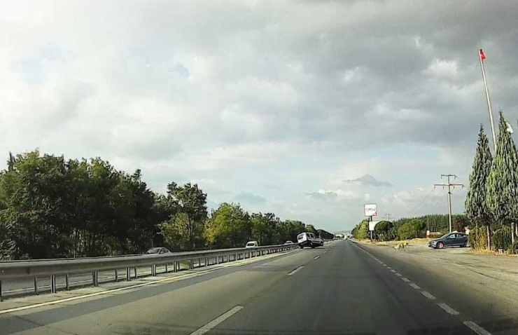 Köpeği Ezmemek İçin Takla Attı, O Anlar Kamerada...