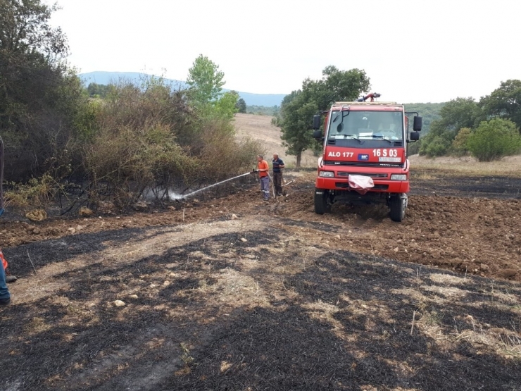 Bilecik’te Anız Yangını